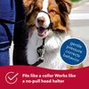 Coastal Pet Products Walk 'n Train! Dog Head Halter (MEDIUM - COLLAR 14-19 SNOUT: 5-7, Black)