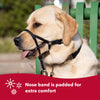 Coastal Pet Products Walk 'n Train! Dog Head Halter (MEDIUM - COLLAR 14-19 SNOUT: 5-7, Black)