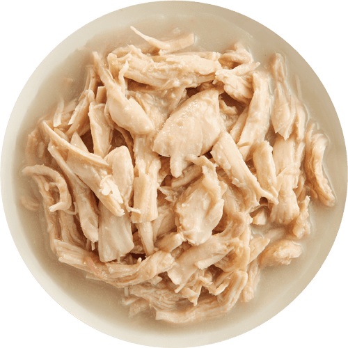 Rawz Shredded Chicken Breast & New Zealand Green Mussels Dog Wet Food (10 Oz Can)