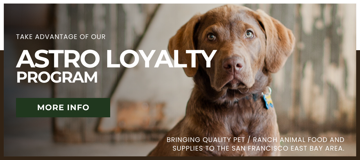 Home Livermore, CA Concord Feed & Pet Supply