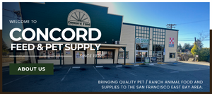 Concord pet near me hot sale