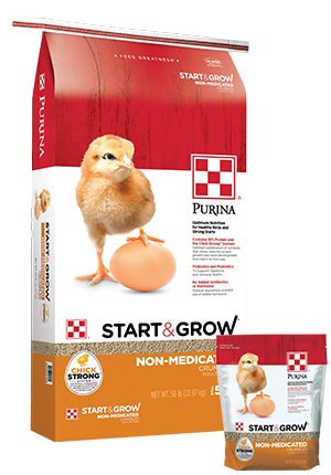 Purina® Start & Grow® Non-Medicated Chick Feed (25 Lb)