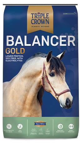 TRIPLE CROWN BALANCER GOLD