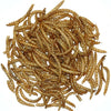 Garden Fresh 1# Mealworms (1 LB)