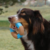 KONG CoreStrength™ Bamboo Bone