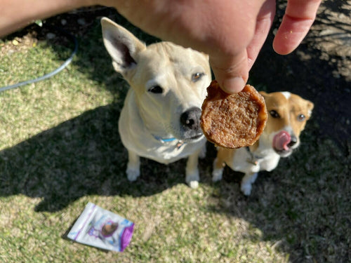 Green Coast Pet Chicken Crisps
