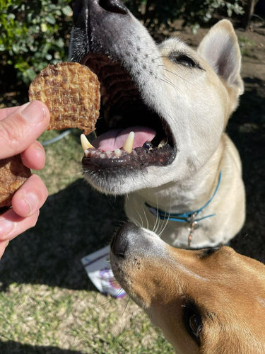 Green Coast Pet Chicken Crisps