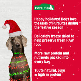 PureBites Holiday Turkey & Sweet Potato Freeze Dried Dog Treats