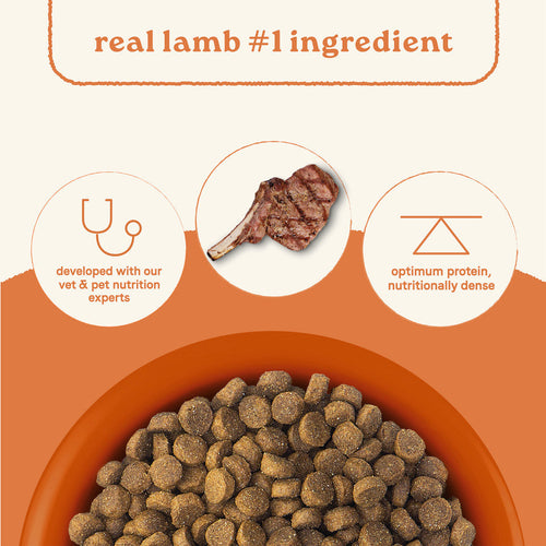 Canidae All Life Stages Dry Dog Food Real Lamb & Ancient Grains Recipe