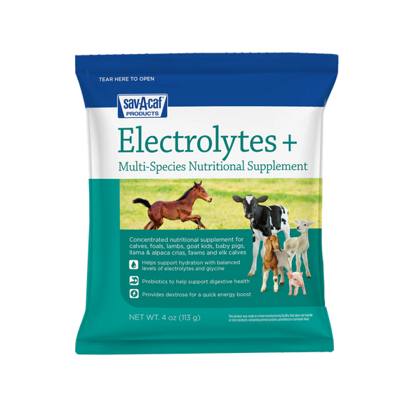 Sav-A-Caf Electrolytes Plus™ Supplement