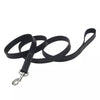 Coastal Pet Circle T Oak Tanned Leather Dog Leash
