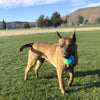 KONG Twistz High-Viz Ball Dog Toy