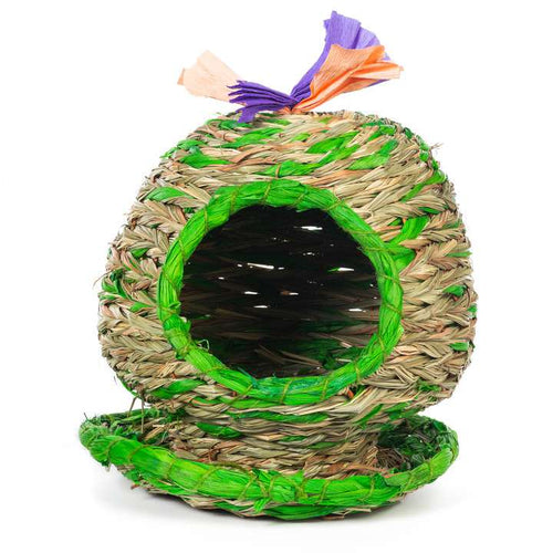 Prevue Pet Products Potted Barrel Cactus Hideaway