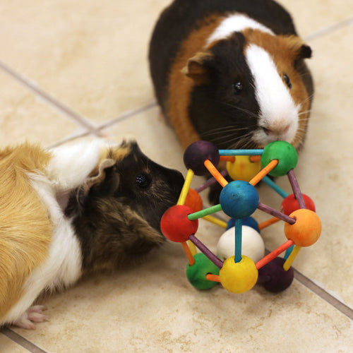 Ware Large Atomic Ball Small Animal Toy