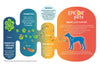 Pawse Flourishing Flora All Natural Freese-Dried Gut Health Bites for Dogs & Cats