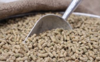 Freedom Layer Pellets Gmo & Soy Free