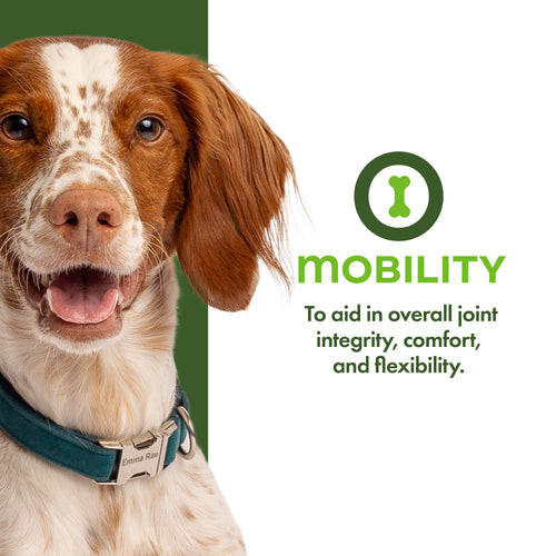 Fromm Family Mobility Functional Dog Treats