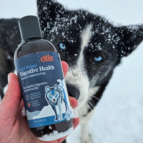 Otis Wild Things Digestive Health Ancestral Probiotic For Dogs
