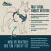 Coastal Pet Products K9 Explorer Trek Full-Coverage Dog Harness