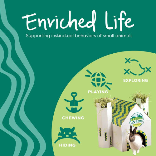 Oxbow Enriched Life – Pyramid Treat Hanger
