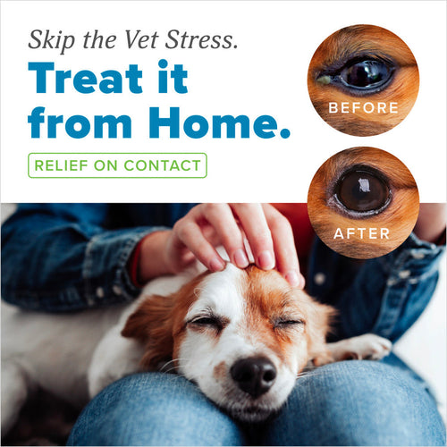 TropiClean HomeVet Soothing Eye Wash for Dogs & Cats