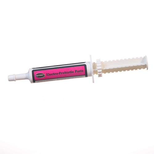 Equerry's Electro-Probiotic Paste