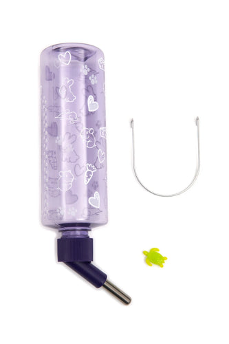 Lixit Clear Water Bottle 16oz