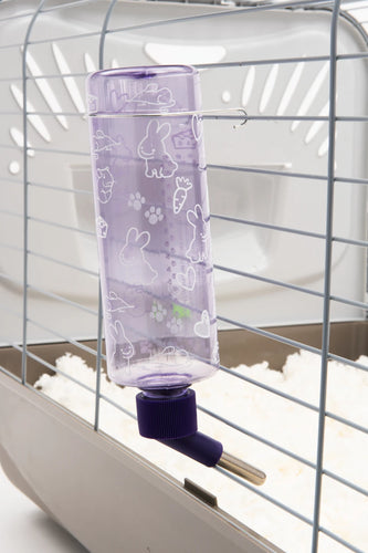 Lixit Clear Water Bottle 16oz