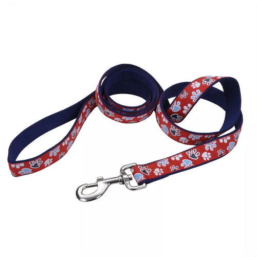 Coastal Ribbon Dog Leash