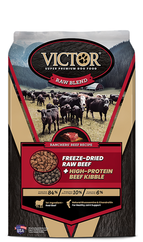 Victor Pet Food Freeze Dried Raw Blend Ranchers' Beef Recipe Dry Dog Food