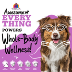 Weruva Awesome Everything Super Chicken Bone Broth with Pumpkin