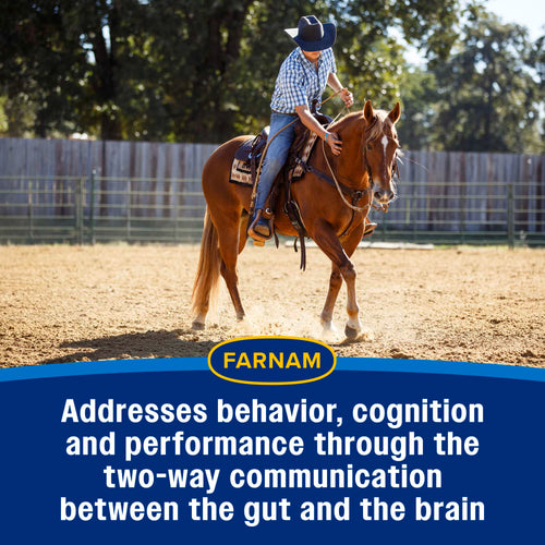 Farnam Quietex Show Pellets Calming & Focusing Paste and Pellets for Performance Horses
