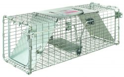 Little Giant Double-Door Entry Live Animal Trap