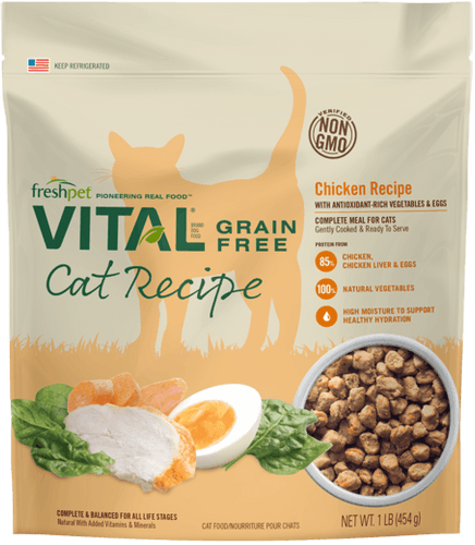 Non grain free cat food best sale