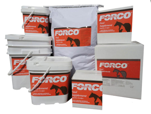 FORCO Feed Supplement Digestive Fortifier For Horses (5 Lb Pail)