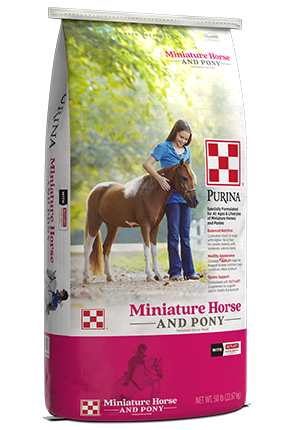 Purina® Miniature Horse & Pony Feed - Pleasant Hill, CA - Concord, CA ...