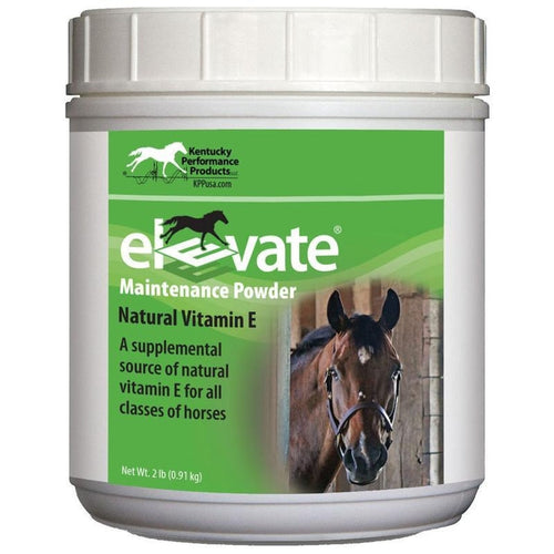 KENTUCKY PERFORMANCE PRODUCTS ELEVATE MAINTENANCE POWDER (2 LB)