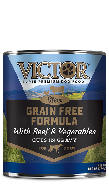 Victor Grain Free Formula with Beef and Vegetables Cuts in Gravy (13.2 oz, Pack of 12)