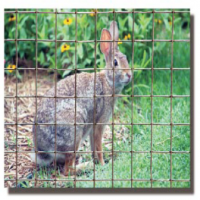 grip rite rabbit welded wire