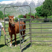 powder river combo gate with panel